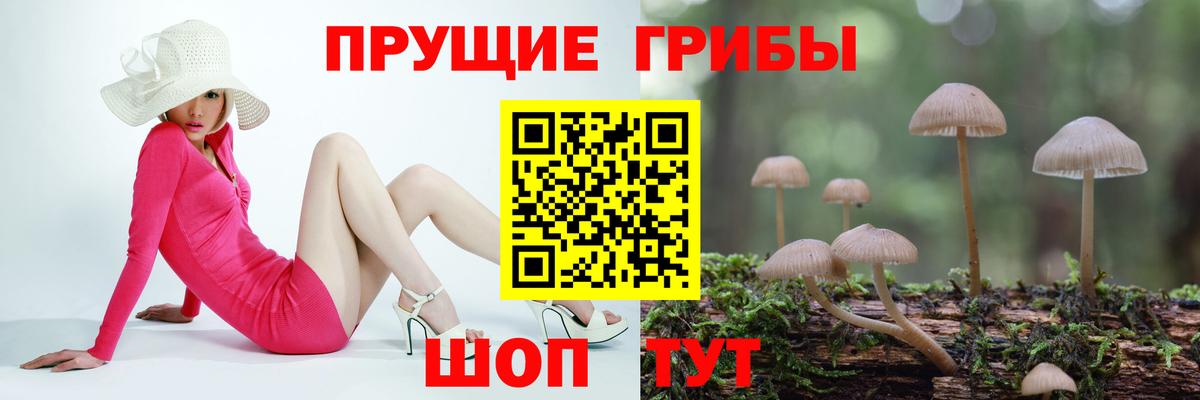 Артём  Псилоцибиновые грибы ЛСД  Вход с VPN 