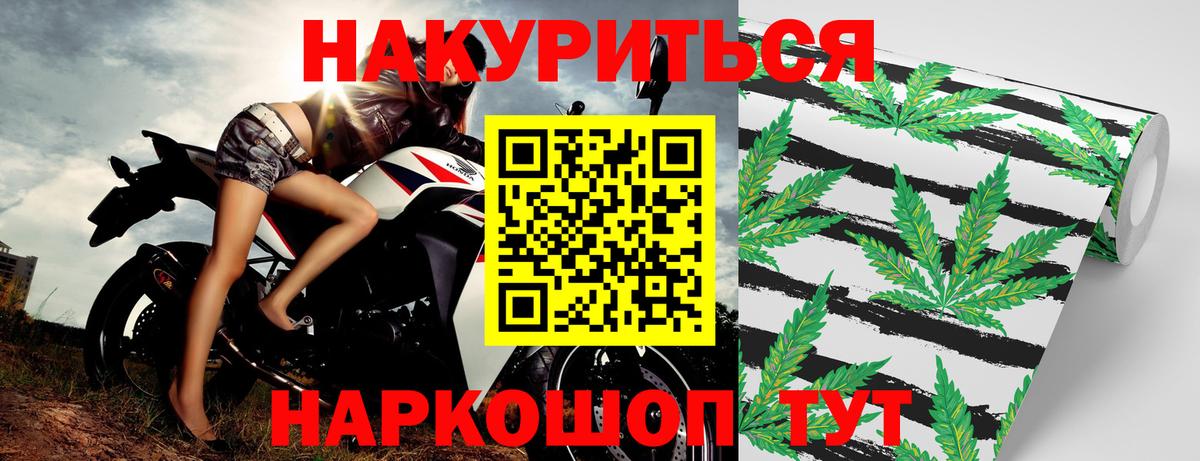 Бошки Шишки White Widow  Каннабис план  Шишки марихуана VHQ  Артём  Вход с VPN 